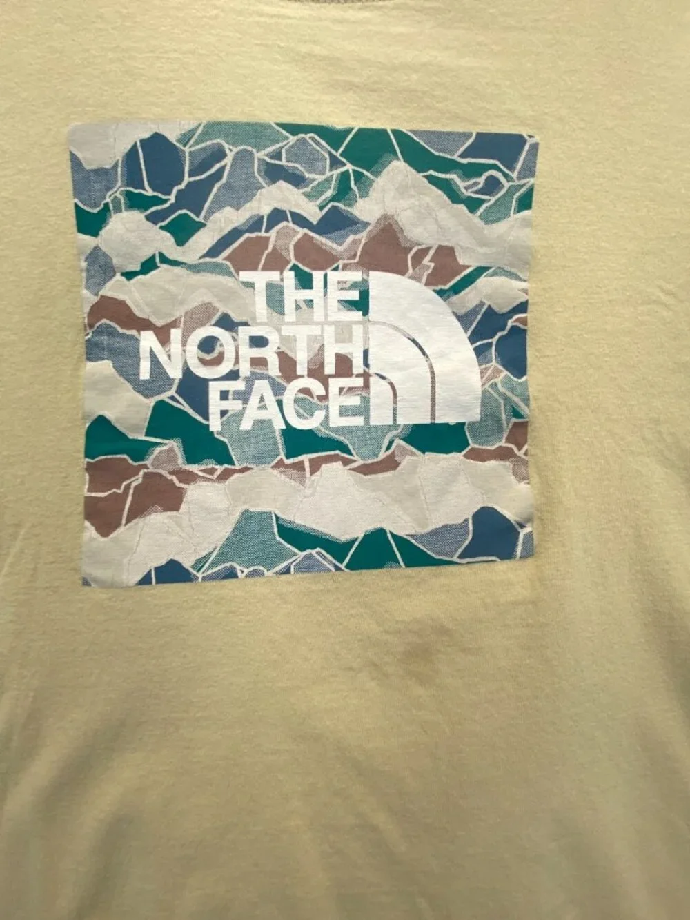 The North Face Men’s Graphic T-shirt  Beige  Cotton Blend  Size XL. LOGO